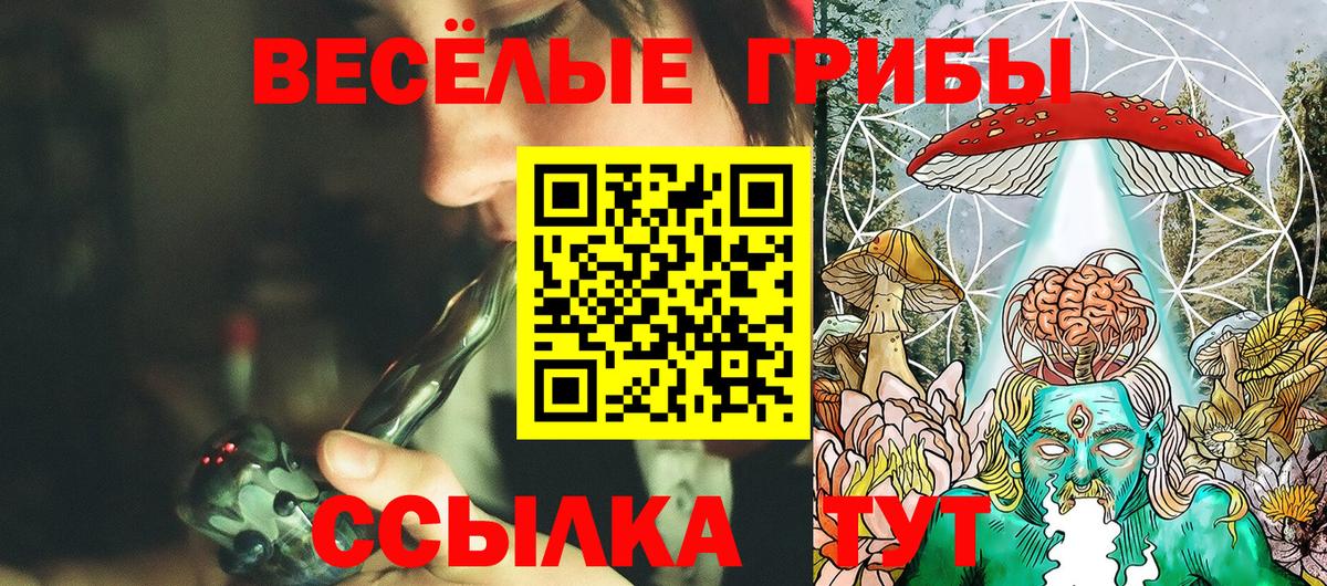 Галлюциногенные грибы Psilocybine cubensis  Вход с VPN  Кызыл 