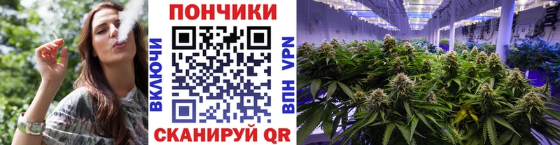 МАРИХУАНА сатива  где можно купить   Кызыл 